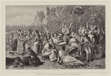 Ubóstwo poza miastem, zbieracze chmielu na polach