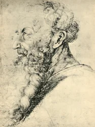 Portret Guido Guersi, 1513-1515, 1943.