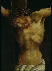 Ukrzyżowanie z ołtarza z Isenheim, detal torsu Chrystusa, ok. 1512-16, detal