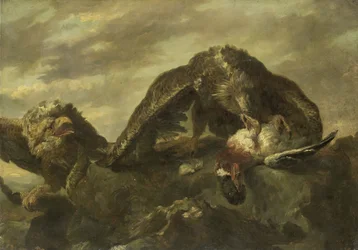 Orły na klifach