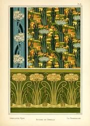 Umbbellated Rush (kolor lito)