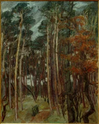 Las Hermsdorfski w szary dzień