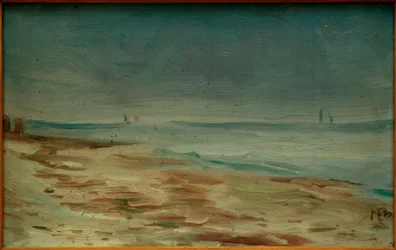 Plaża morska, brązowo-szara
