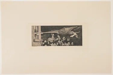 Uprowadzenie, 1881