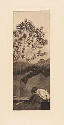 Opus VI, z Parafrazy o znalezieniu rękawicy, 1881.