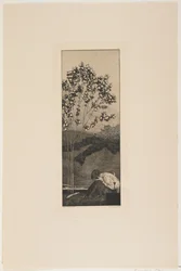 Tęsknoty, 1881