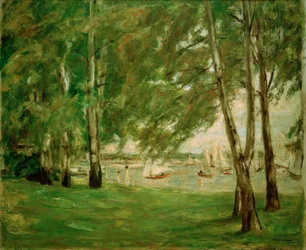 Brzozy na wschodnim brzegu Wannsee