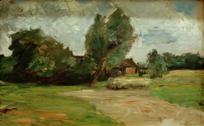 Holenderski krajobraz