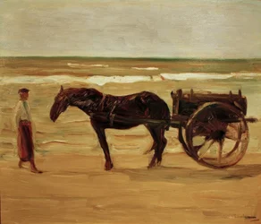 Wózek do kąpieli na plaży