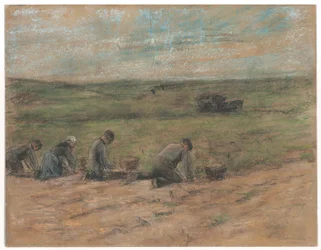 Kopaczki do ziemniaków w pobliżu Zandvoort, 1894