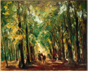 Jeździec w zoo