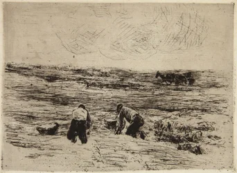 Hodowcy ziemniaków