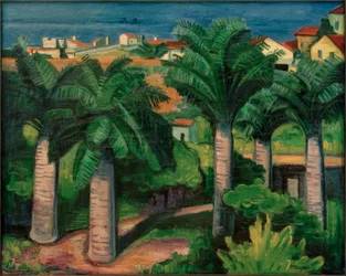 Palmy w Collioure