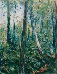 leśna ścieżka