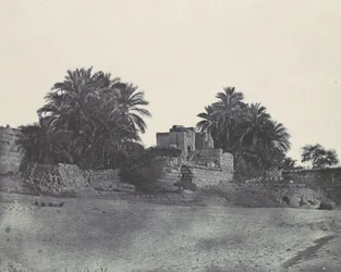 Nubii. Filoe, 1850.
