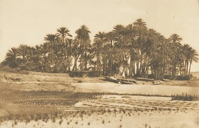 Widok na Elefantynę, naprzeciwko Asuanu, 1849-50.