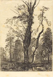 W parku