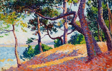 Krajobraz w Saint-Tropez, 1892