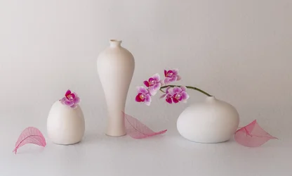 Martwa natura z różowymi orchideami