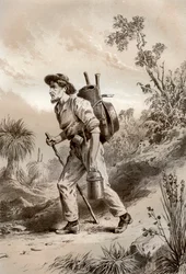 Koparka na włóczędze, Australia, 1879.