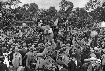 Przejażdżki na słoniach w londyńskim zoo, 1926-1927