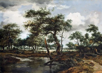 Staw w lesie, 1668
