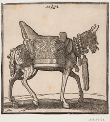 Wspaniale wyposażony muł, profil w kierunku h.