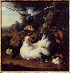 Kura i jej pisklęta Obraz Melchiora Hondecoetera (1636-1695) Caen XVII w., Muzeum Sztuk Pięknych