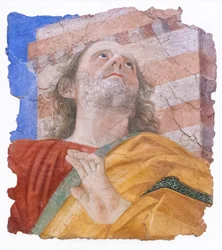 Głowa Apostoła, ok. 1480 (fresk)
