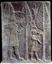 Scena polowania na ptaki. Płaskorzeźba w albastrze z Pałacu Sargona II lub Sharroukina, króla Asyrii do Chorsabadu (Chunsabad) (Mezopotamia), Irak. 722-705 pne. Paryż. Muzeum w Luwrze