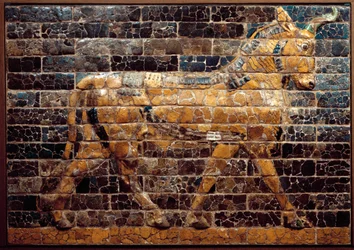 Mezopotamia: „Byk w ruchu”. Emaliowane cegły z Bramy Isztar. Babilon (Irak) za panowania króla Nabuchodonozora II. Irackie Muzeum Narodowe, Irak