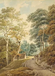 Pas w pobliżu Hindhead