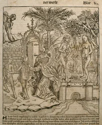 Adam i Ewa, ilustracja z 