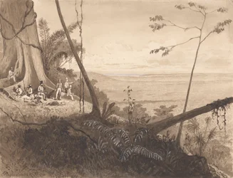 Cedar Point, Góra Tamana