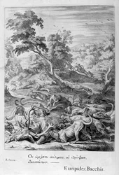 Akteon zamieniony w jelenia i pożarty przez psy, 1655