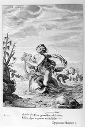 Arion uratowany przez delfina, 1655