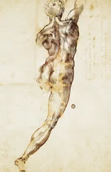 Męski akt widziany od tyłu, studium do Bitwy pod Casciną, autorstwa Michała Anioła (1475-1564), rysunek.