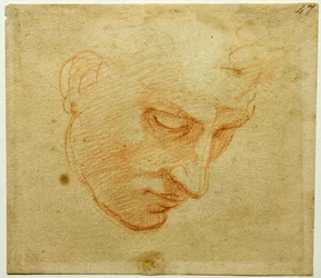 Studium Głowy do sufitu Kaplicy Sykstyńskiej, ok. 1509-1510