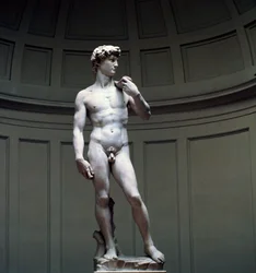 Dawid Michała Anioła, XVI wiek