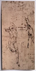 Nagi mężczyzna, studium ramion Rysunek Michelangelo Buonarroti dit Michelangelo (Michelangelo lub Michel Ange