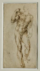 Akt męski, widok z przodu, ok. 1502-1506 ...