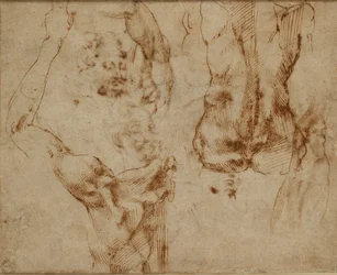 Studia aktowe, c1490-1560