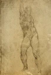 Studium aktu, rysunek Michała Anioła. Gallerie dellAccademia, Wenecja