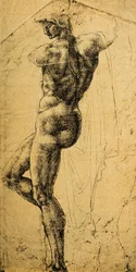 Studium aktu; rysunek Michała Anioła. Musée du Louvre, Paryż