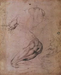Sufit Kaplicy Sykstyńskiej (1508-12): szkice postaci Ewy ze sceny Grzechu Pierworodnego (węgiel na papierze)