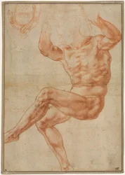 Studium dla nagiej młodzieży nad prorokiem Danielem recto, 1510-1511.