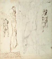 Studium Dzieciątka Jezus i rysunek anatomiczny z notatkami (czarna kreda i brązowy tusz na papierze) (verso)