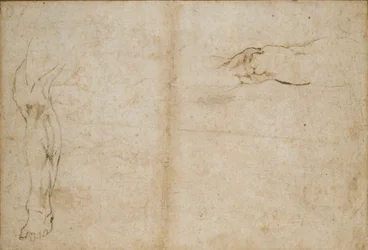 Verso: Studia nogi mężczyzny, c1490-1560