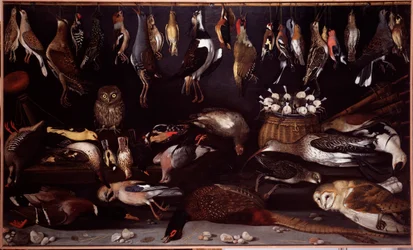 Martwa natura z ptakami (Ptak) Obraz przypisywany Michelangelo Merisi dit Caravaggio (Caravaggio) (1571-1610) Rzym Galleria Borghese