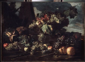"Martwa natura z winogronami" Obraz Michała Anioła Pace da Campidoglio (1610-1670) 1650-1660 Wymiary 98x134 cm Ermitaż, Sankt Petersburg